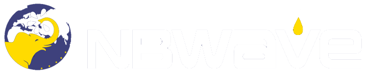 博浪NBWave